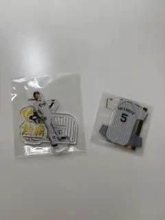 美津和タイガー阪神タイガース藤田平選手実使用品 - メルカリ