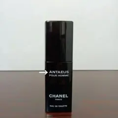 2025年最新】シャネル アンテウスの人気アイテム - メルカリ