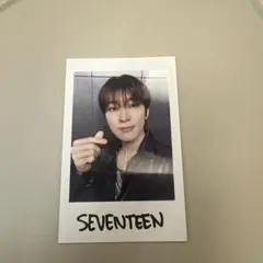 SEVENTEEN RIGHT HERE ウォヌ　インスタントフォト　チェキ
