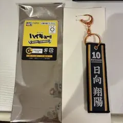 日向翔陽　タイトーくじ ハイキュー!! G賞　フライトタグ