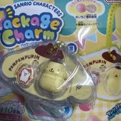 サンリオ　パッケージチャーム