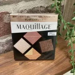 Gomaa様専用　マキアージュアイシャドウ　アイカラー　04マンダリンアソート☆