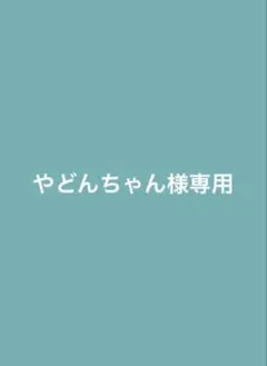 「やどんちゃん様専用」New 3DS LL