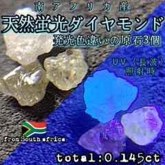 5枚セット アガベ型プランツタグ Satorin Lab Collection | Mercari