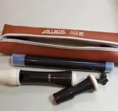 Item thumbnail for item 8adc03b6-9172-4834-b65d-921828e3c6ce