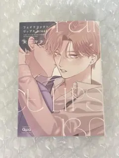 フェイクファクトリップス break 上 末広マチ BL漫画
