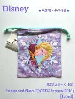 ★希少★未使用・タグ付き★ディズニーランド巾着『アナと雪の女王』【58】