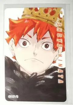 ハイキュー!! 日向翔陽 バースデイカード その1 ジャンプショップ 2024