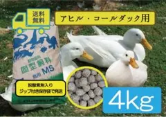 アヒル·コールダック用飼料10kg オリエンタル酵母工業ms アヒル·コールダック用総合飼料】オリエンタル酵母工業MS10kg - メルカリ