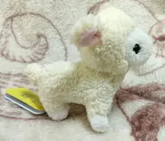 《紙タグ付き》サンレモン ヒツジ ぬいぐるみSサイズ 子羊
