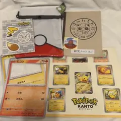 ポケパークカントー エリートトレーナズパス 特典 - メルカリ