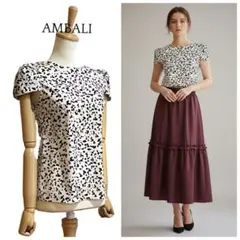 【AMBALI】 パフショルダー プルオーバー ブラウス