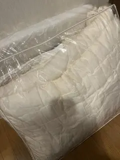 Item thumbnail for item 6de98319-5dfc-4882-b40c-ff7f5bb93ee5