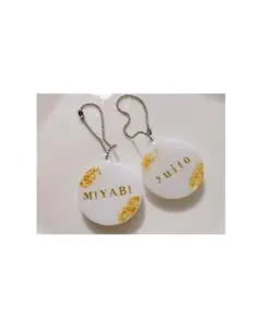 Item thumbnail for item 901226f1-a4f9-40ef-b341-98c65908f84c