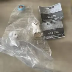 まてぼうけ犬 チワワ