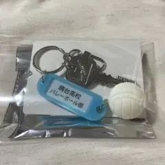 ハイキュー トレーディング 高校名付き 鍵チャーム キーホルダー 鴎台