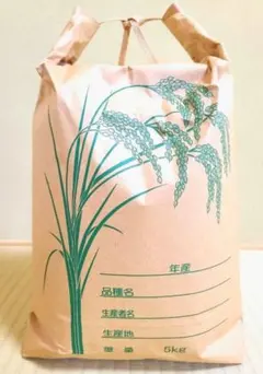 農家直送 令和７年新米 千葉県産コシヒカリ５kg 精米のサムネイル