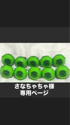 さなちゃちゃ様 専用ページ