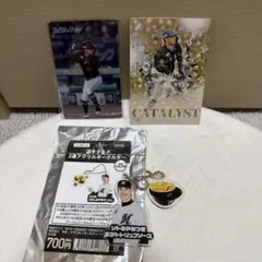 千葉ロッテ 99ソト グッズ レアカード