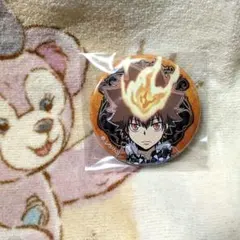 家庭教師ヒットマンリボーン キャラバッジコレクション 沢田綱吉
