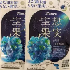 空想果実 イトピスの実 グミ カンロ　2点セットのサムネイル