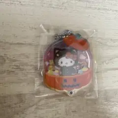 未使用★サンリオカスタムアクリルチャーム