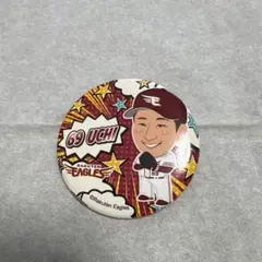 楽天イーグルス 内星龍 #69 缶バッジ イーグルスガチャ