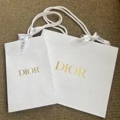 クリスチャン　ディオール　Dior ショップ袋 ショッパー　紙袋　2枚セット