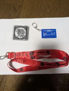 白帆さん専用B'z FYOP 2025　ガチャ