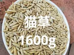 Item thumbnail for item 20cc8ac6-1ea4-471d-8fc3-16d42d3dd992