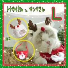 Item thumbnail for item 6e660fae-89fe-4985-b38a-d7f4bd14b4b2