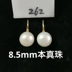 淡水パールピアス 本物真珠 フックピアス