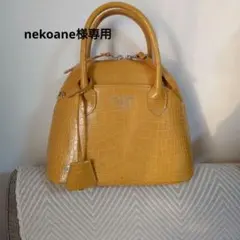 2026年最新】ADMJアクセソワ クロコ バッグの人気アイテム - メルカリ