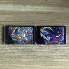 ポケモン　フレンダ　メガリザードンY メガゲンガー　ワンダーピック