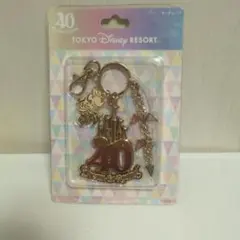 東京ディズニーリゾート 40周年 キーチェーン