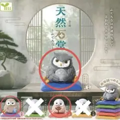 天然石堂〜ふくろう〜全5種コンプリート - メルカリ