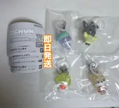 ジェオチャム めじるしアクセサリー2 ちまた もこ ピーハイ まめちぃ ガチャ