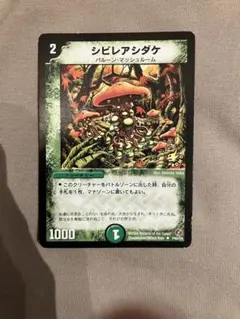 2026年最新】シビレアシダケ プロモの人気アイテム - メルカリ