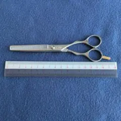 Item thumbnail for item 4385fe6c-81c6-4c83-8a32-754c8b0ef96c