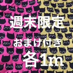 オックス生地