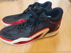 NIKE JORDAN TATUM 1 PF "Zoo"のサムネイル