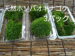 yoranda様 リクエスト 2点 まとめ商品