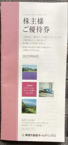 【k様専用です！】東急不動産HD 株主様ご優待券×1冊