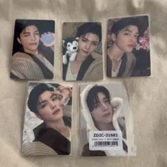 &TEAM MAKI 雪明かり　トレカ