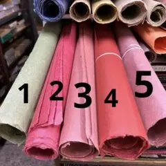 Item thumbnail for item 9a07f85b-bea9-43c6-96a1-eb39843e9f44