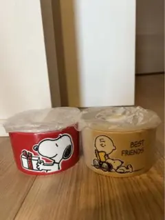 【PEANUTS】ピーナッツ スヌーピー レンジ2点セット パック鉢