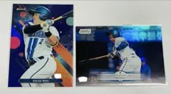 Item thumbnail for item 8bac8827-b528-4640-8581-52d07369c3cf