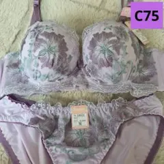 新品 レディース ブラジャー　ショーツセット C75