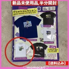 ポケモンＴシャツコレクション　バイオレット　ポケモン　ナンジャモ&ハラバリー