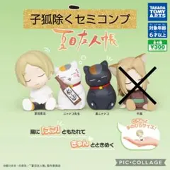 夏目友人帳　肩ズン　ガチャ　セミコンプ